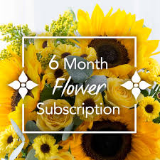 6 Month Flowers Subscription