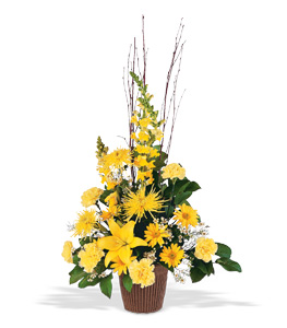 Brighter Blessings Arrangement