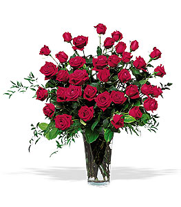 Three Dozen Red Roses