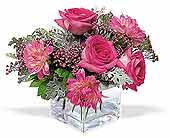 Perfect Pink Harmony