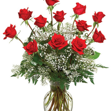 A Dozen Premium Roses