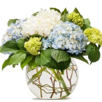 Hydrangea Bowl