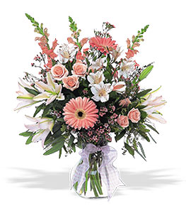 Celebrating Baby Girl