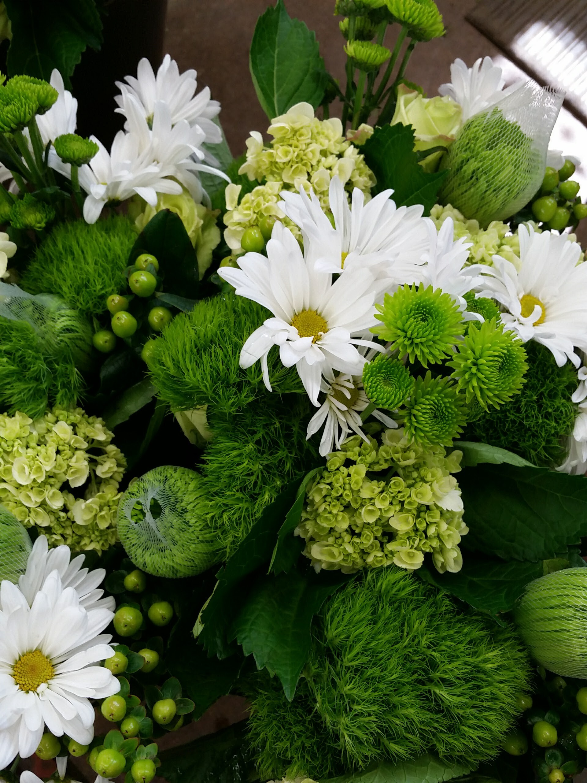 Kids Luck of the Irish Workshop