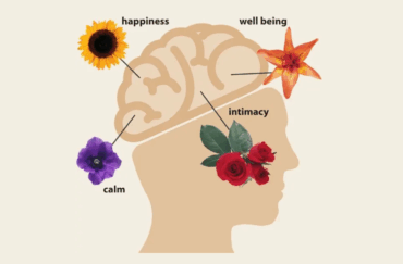 Flowers Improve Emotional Health: Why Spreading Joy Matters More Than Ever