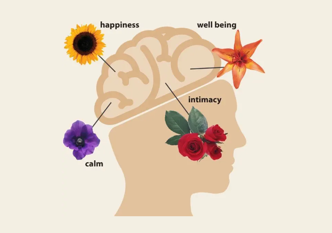 Flowers Improve Emotional Health: Why Spreading Joy Matters More Than Ever