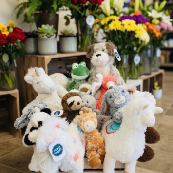 Stuffed Animal - Plush