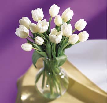 White Tulip Bouquet