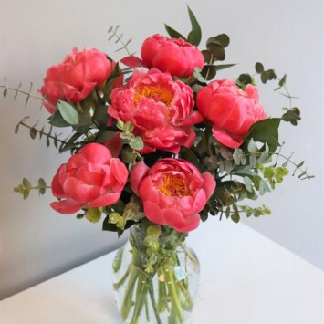 Coral Peonies
