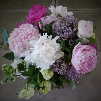Peonies and Smiles