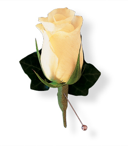 White Rose and Ivy Boutonniere