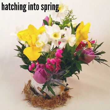 Hatch into Spring