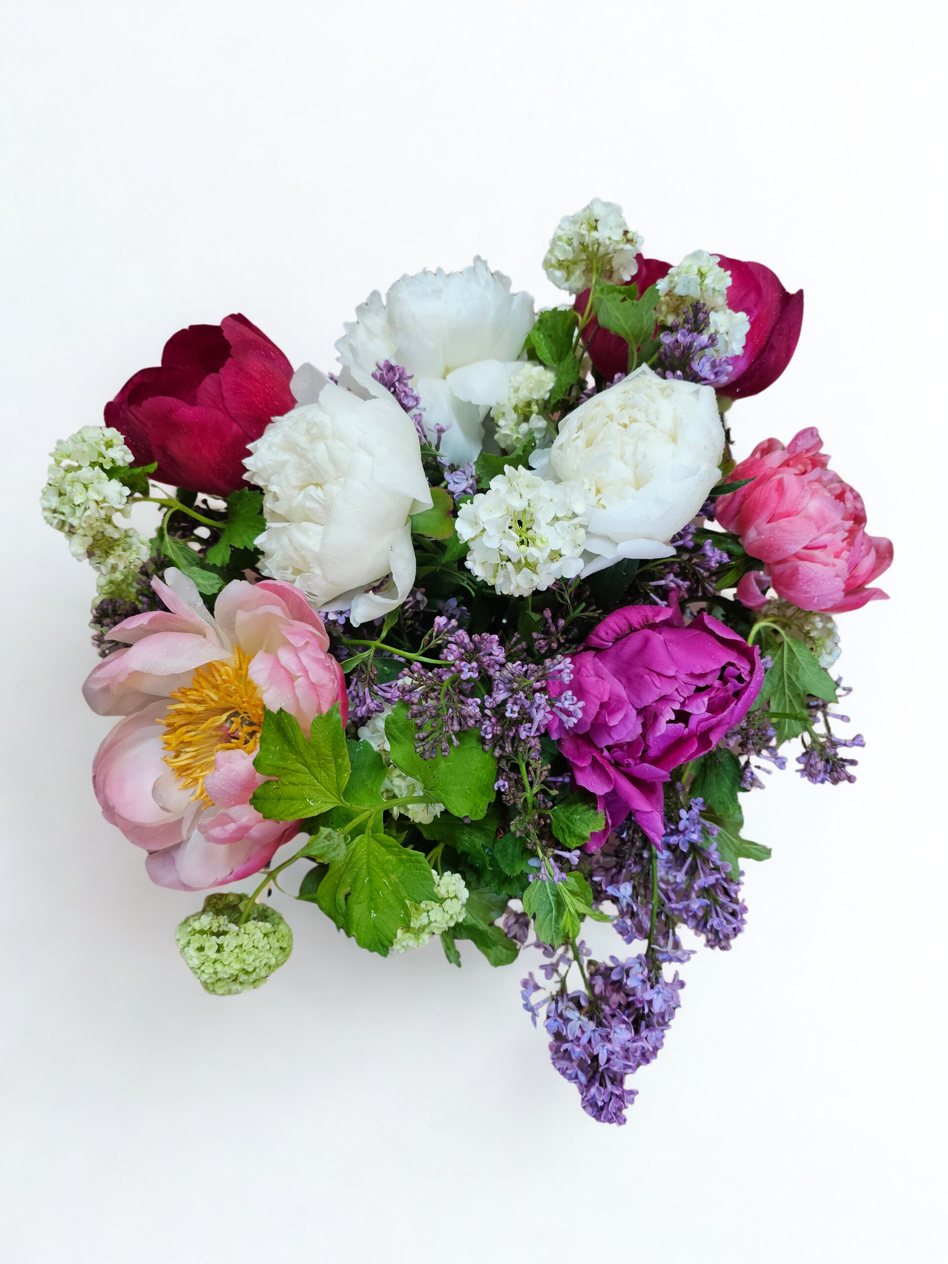 Peonies Galore Workshop