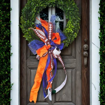 University of Illinois Football