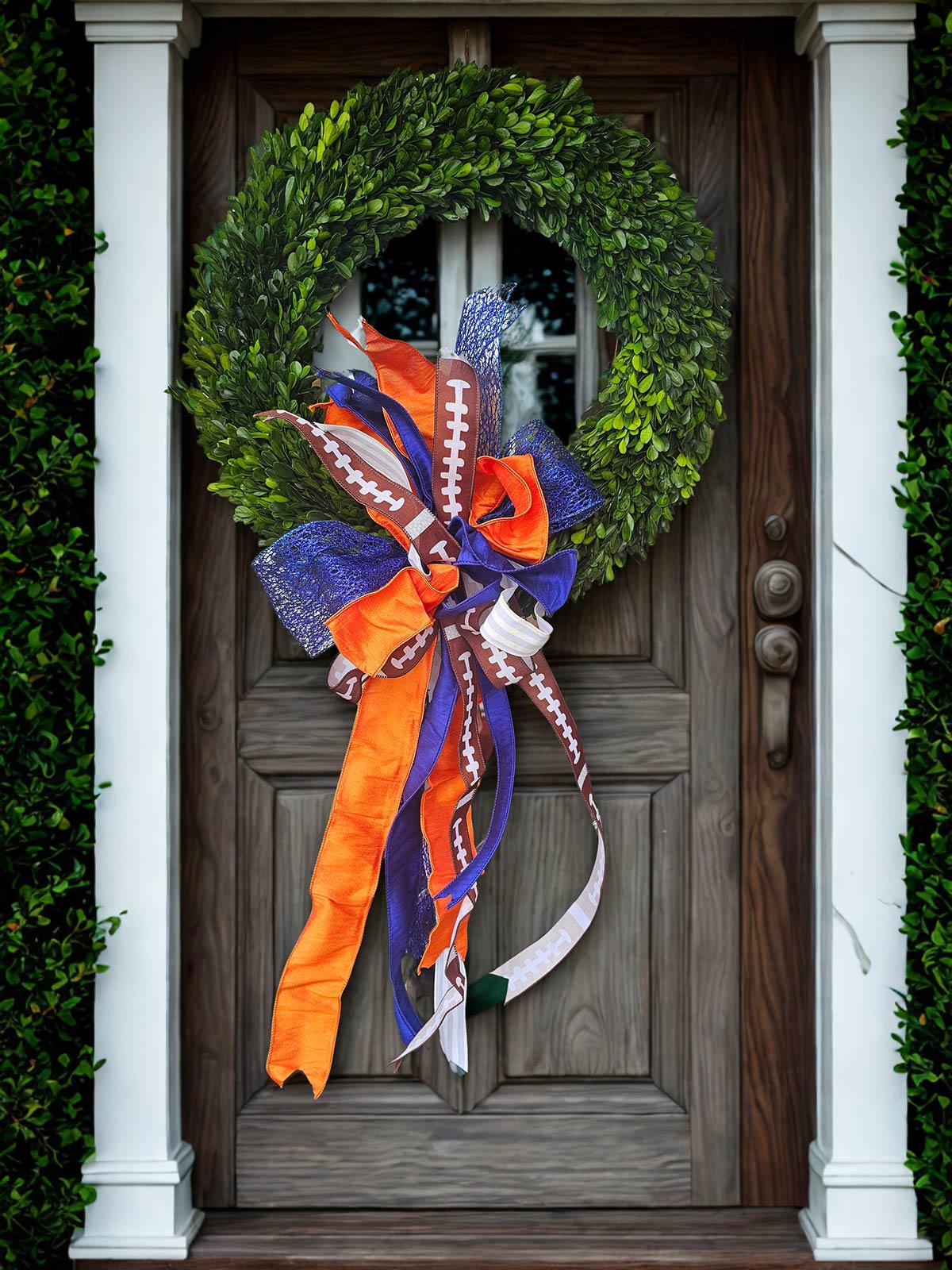 University of Illinois Football