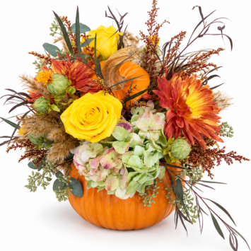 Pumpkin Patch Thanksgiving Centerpiece
