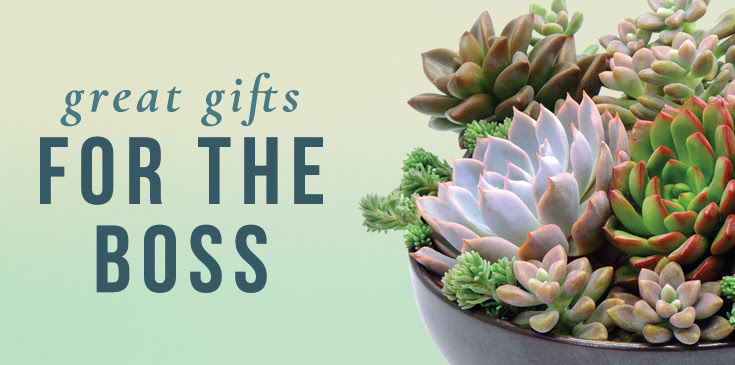 Boss’s Day: More Than a Bouquet—The Impact of Flowers