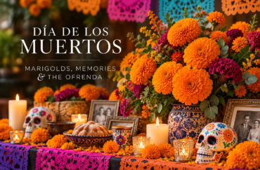 Día de los Muertos: Marigolds & Creating an Ofrenda